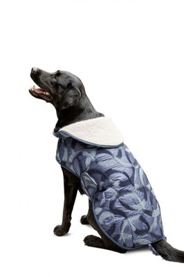 Burda 6049