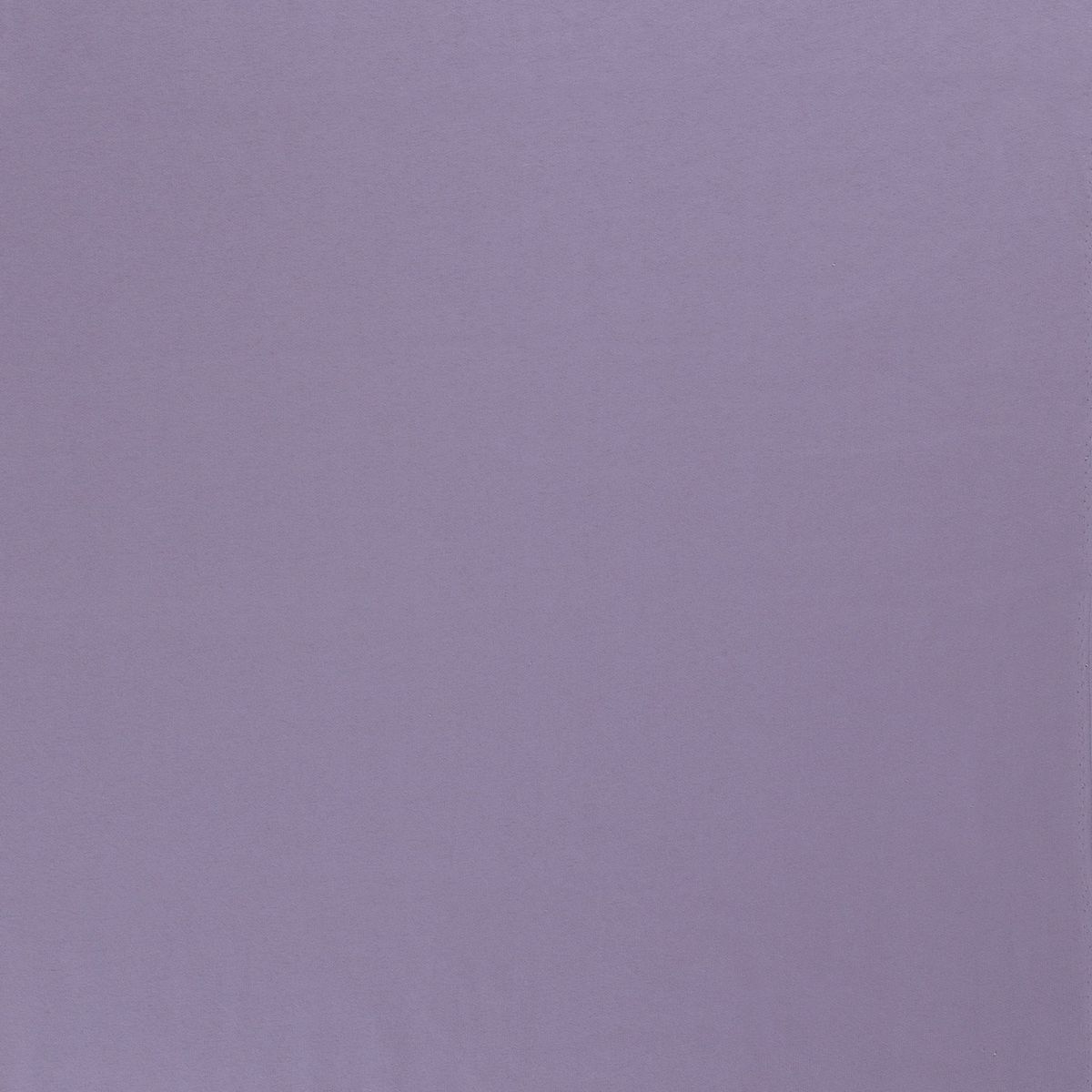 JOGGING BRUSHED Lila